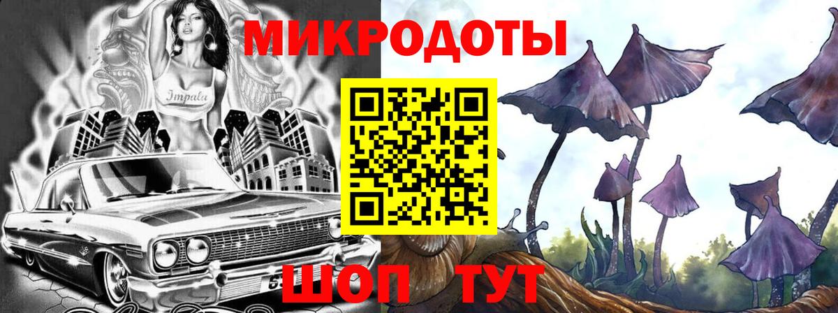 Галлюциногенные грибы GOLDEN TEACHER  Вход с VPN  Кизилюрт 