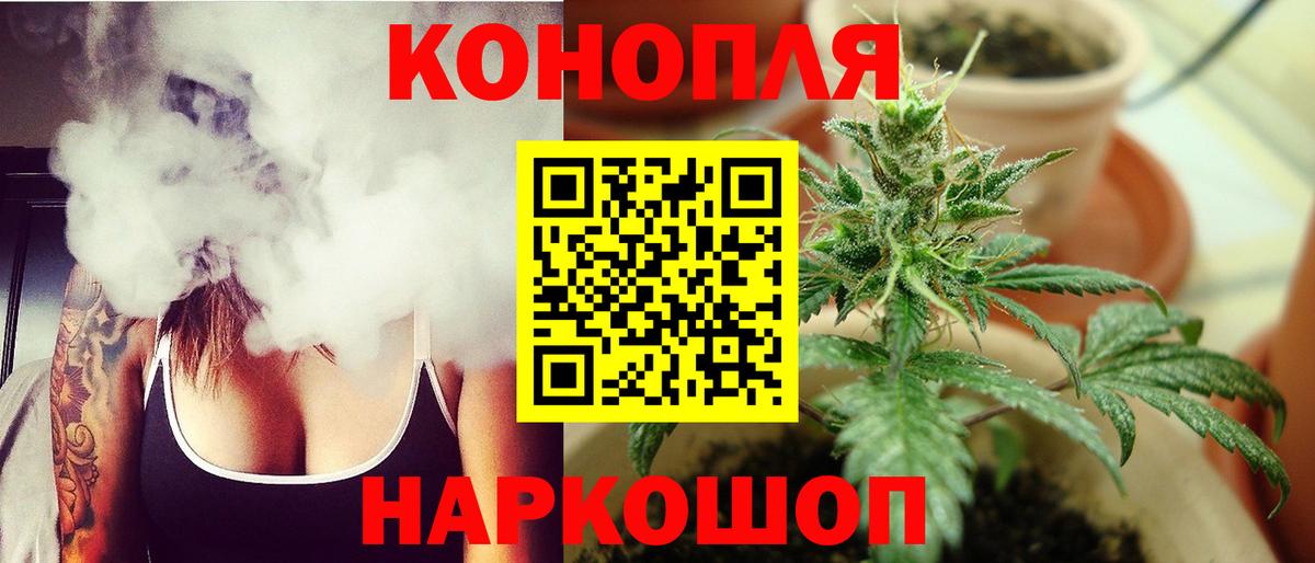 Бошки Шишки тримм Кизилюрт
